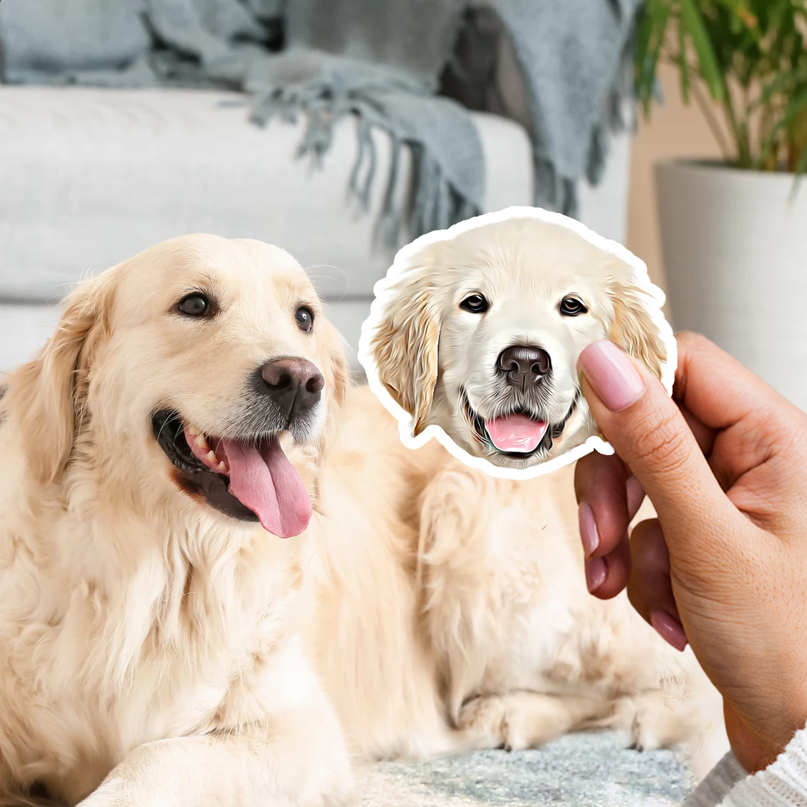 3x Adhesivo personalizado para su mascota